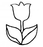 简笔画花：最美丽的花