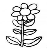 简笔画花：花