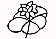 简笔画花：芦荟