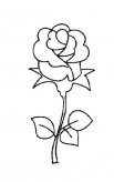 简笔画花：漂亮的吊兰