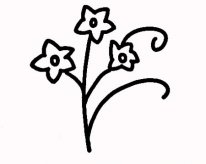 简笔画花：清泉与玫瑰花根