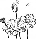简笔画花：夏花