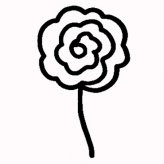 简笔画花：我喜欢牵牛花