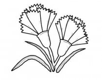 简笔画花：花让我陶醉