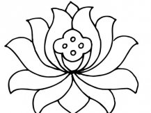 简笔画花：花冠