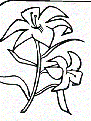 花