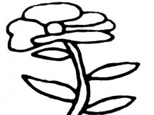 简笔画花：牵牛花