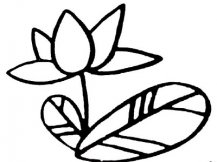简笔画花：我爱荷花
