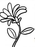 简笔画花：花开的声音