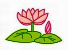 简笔画花：美丽的荷花