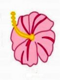 简笔画花：国花牡丹