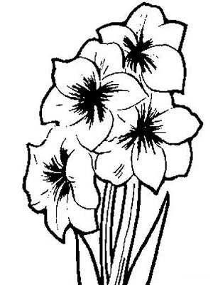 花