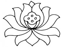 简笔画花：兰花