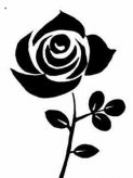 简笔画花：蝴蝶花