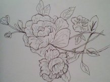 简笔画花：美丽的桔子花