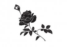 简笔画花：花语