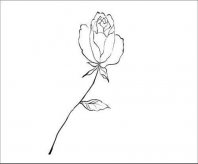 简笔画花：简笔画花