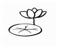 简笔画花：荷花的画法
