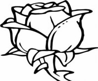 简笔画花：鲜花的简笔画