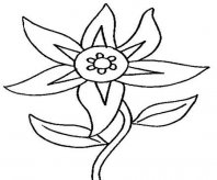 简笔画花：花儿画法