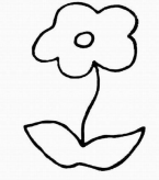 简笔画花：红红的木棉花