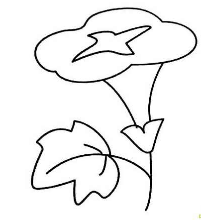 简笔画花：花中西施