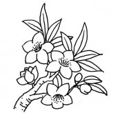 简笔画花：四季花