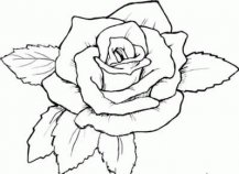 简笔画花：蟹爪兰