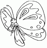 蝴蝶简笔画：蝴蝶简笔画画法