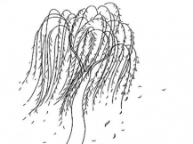 简笔画花：风吹柳浪