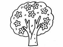 简笔画花：迷人的桃花树