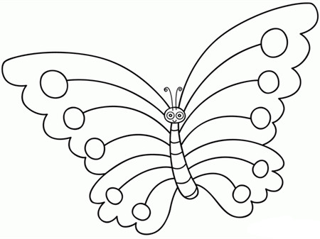 蝴蝶简笔画：蝴蝶学史
