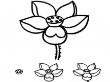 简笔画花：荷塘月色