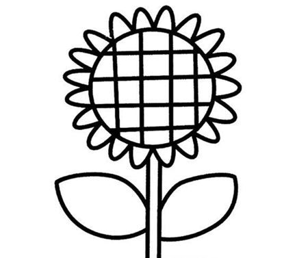 简笔画花：向日葵是光明的使者