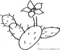 简笔画花：美丽的荷花池