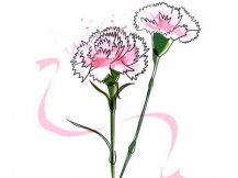 简笔画花：送给妈妈的康乃馨