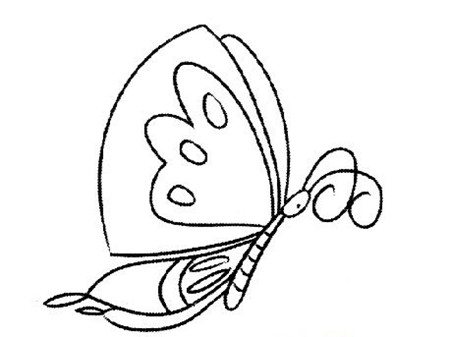 蝴蝶简笔画：蝴蝶梦