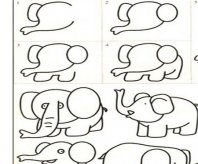 大象简笔画：乌龟和大象