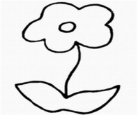 简笔画花：菊花飘香意幽幽