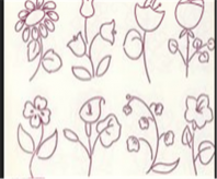 简笔画花：美丽的兰花