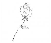 简笔画花：各种花的简笔画
