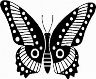 蝴蝶简笔画：蝴蝶真漂亮