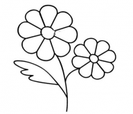 简笔画花：花的简笔画