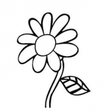 简笔画花：各种花的简笔画