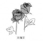 简笔画花：玫瑰简笔画