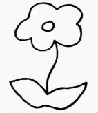 简笔画花：花朵的简笔画