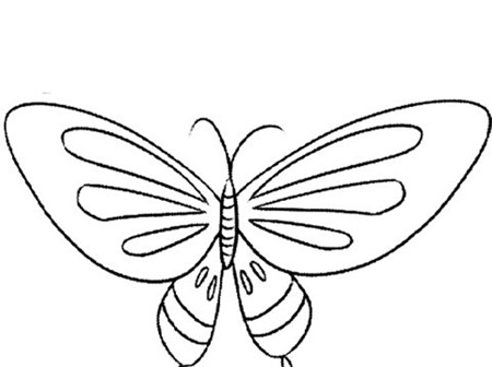 蝴蝶简笔画