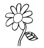 简笔画花：桃花