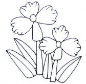简笔画花：兰花