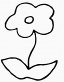 简笔画花：茉莉花